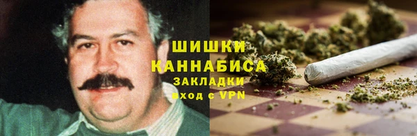 spice Няндома