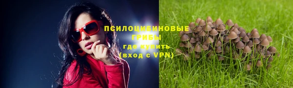 хмурый Нязепетровск