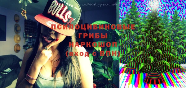 spice Няндома
