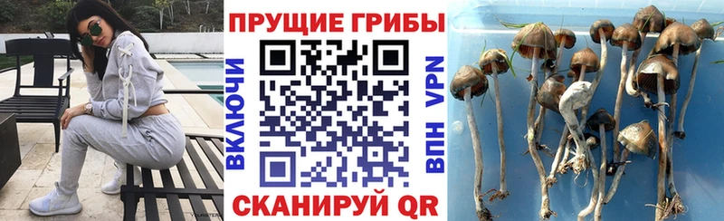 цены наркотик  Салаир  даркнет официальный сайт  Галлюциногенные грибы ЛСД 