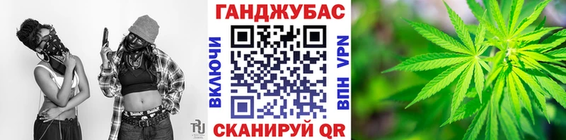 где найти   Салаир  Конопля гибрид 